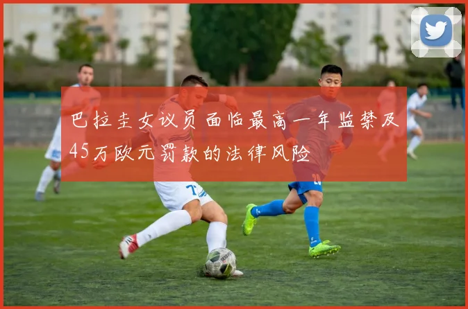 巴拉圭女议员面临最高一年监禁及45万欧元罚款的法律风险