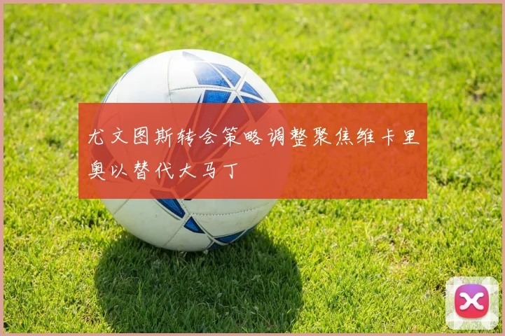 尤文图斯转会策略调整聚焦维卡里奥以替代大马丁