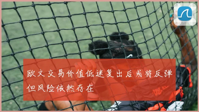 欧文交易价值低迷复出后或将反弹但风险依然存在